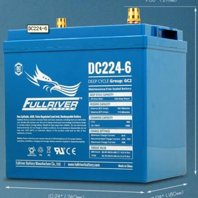 DC224-6电池