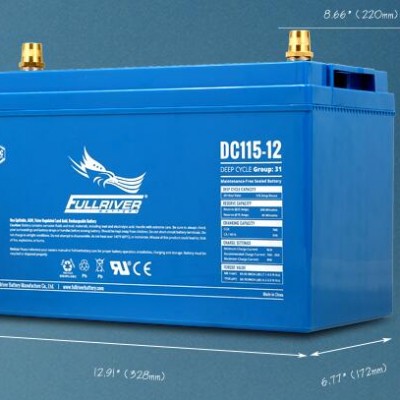 DC115-12免维护电池